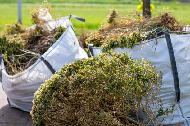 Trash Removal Near Me in Lexington, TN